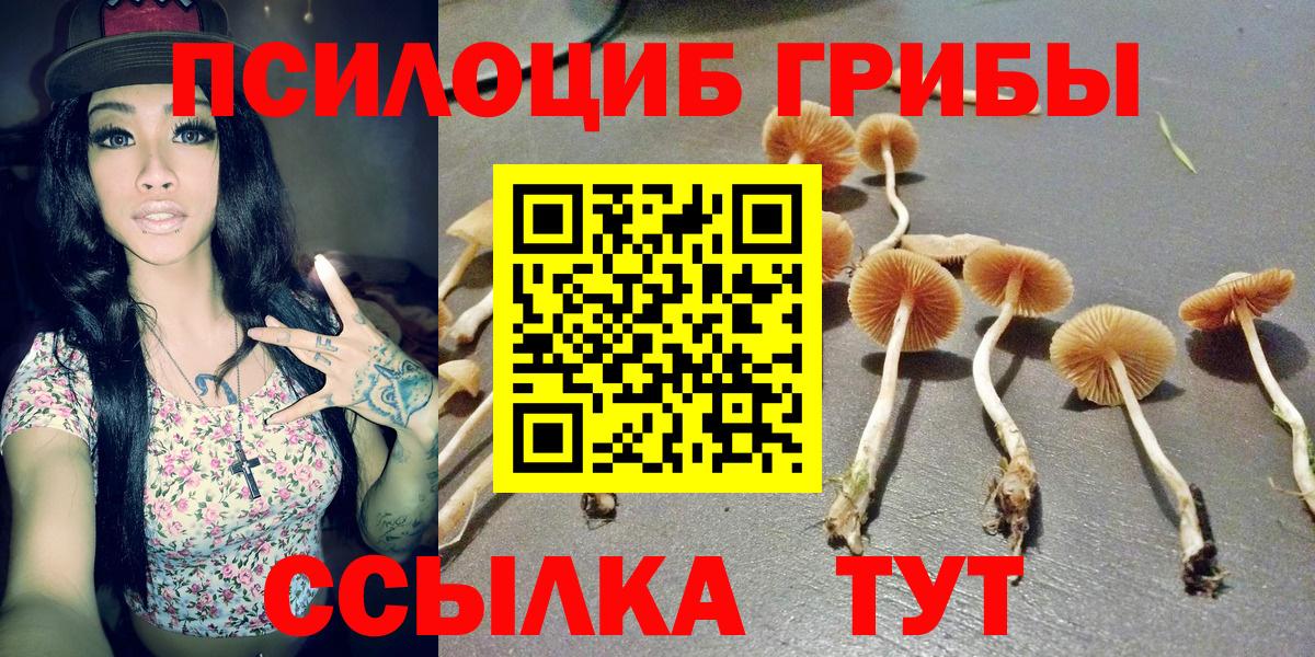 где найти   Галлюциногенные грибы Psilocybe  Вход с VPN  Галлюциногенные грибы ЛСД  Морозовск 