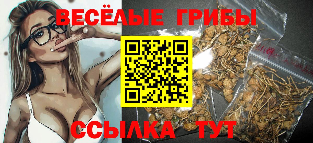 Галлюциногенные грибы мицелий Морозовск